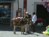 Zacatecas, Zacatecas