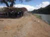 Cotaxtla, bautismo río Cotaxtla